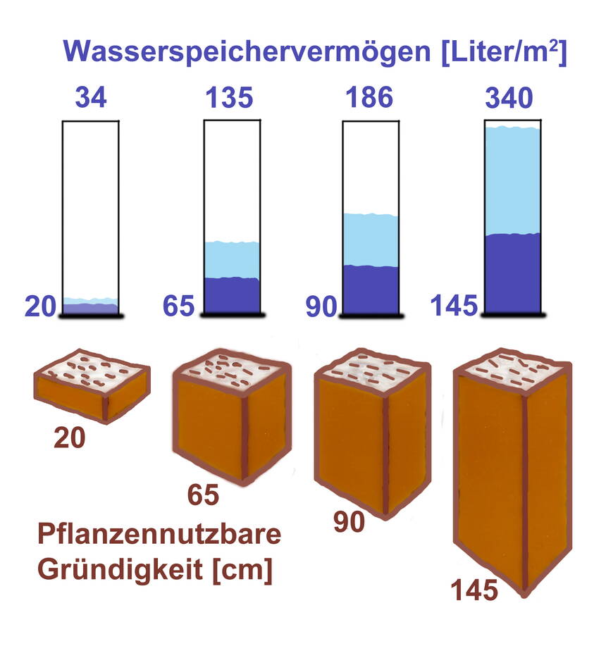 wasserspeichervermoegen.jpg